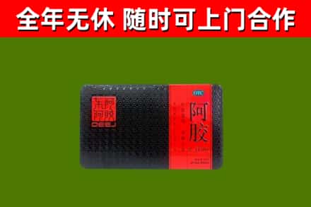 苏尼特左旗回收阿胶